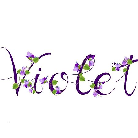 Appartamento Violet - Parma Kültér fotó